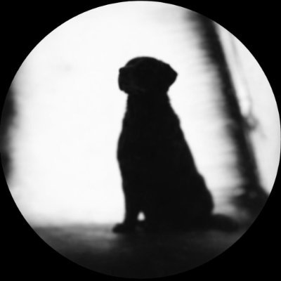 itsdogrelax's tweet photo. @_Shadow36 @billy_goat1 Shadow just $relax and hold https://t.co/8iYzeLXclb