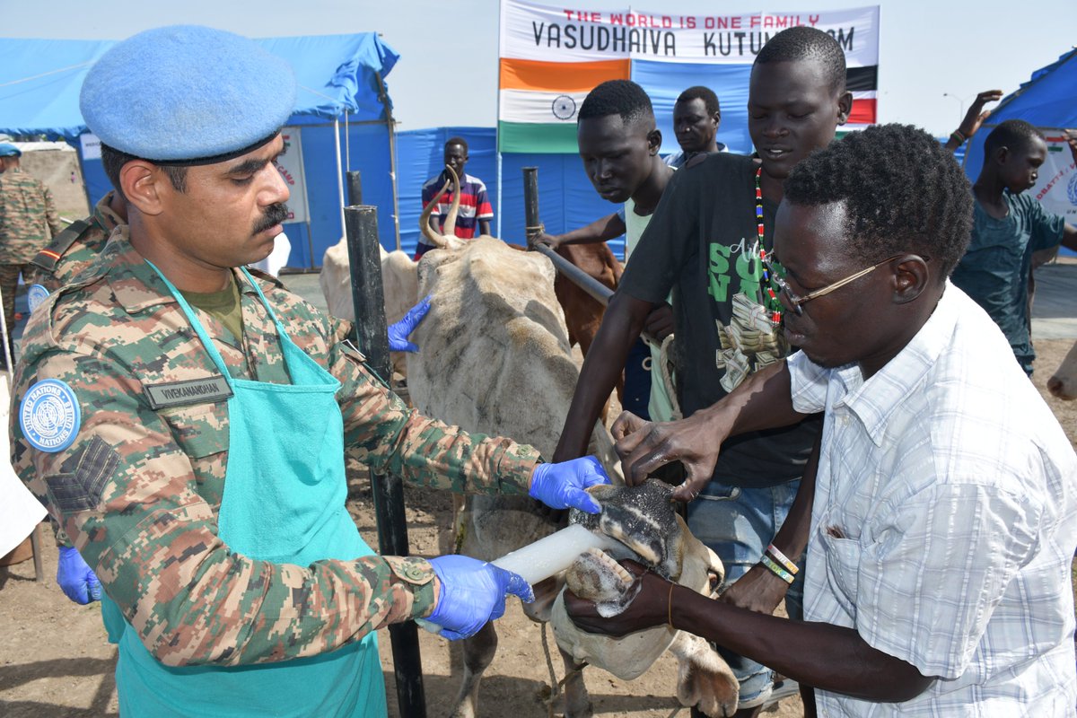 unmissmedia's tweet image. #UNMISS #Indian 🇮🇳 peacekeepers held a three-day livestock health initiative at the former Malakal protection site 🇸🇸, where they treated 2,368 animals and trained over 40 participants, including community leaders and healthcare workers, on disease prevention and safe meat