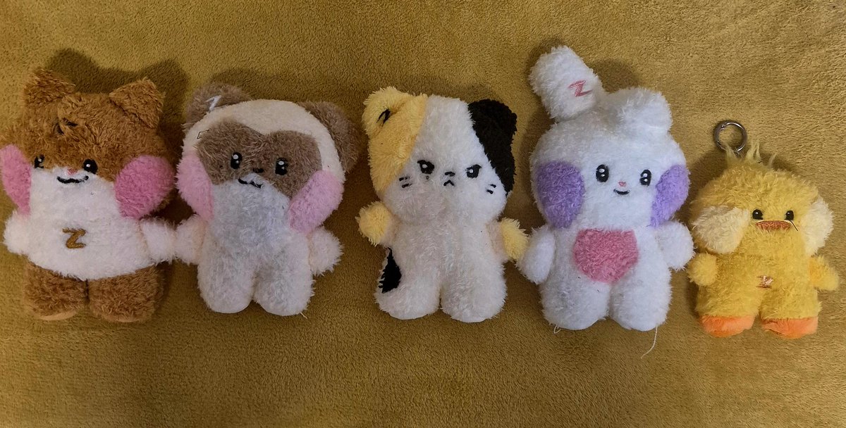 Zeee!!!! tweet media