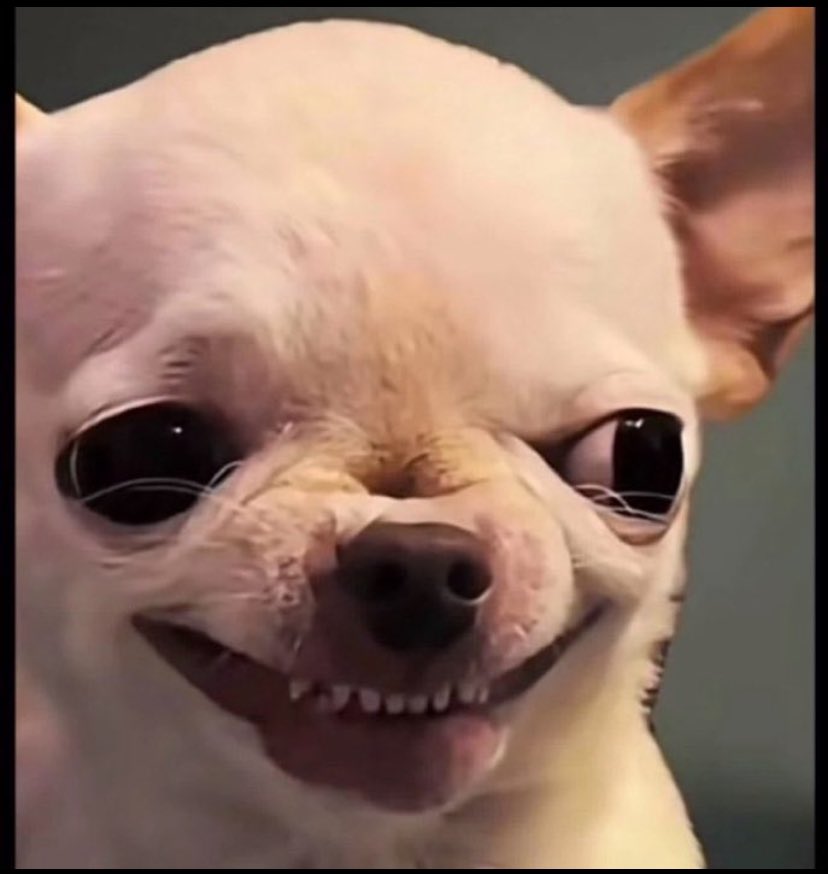 𝒲𝒶𝓂𝒾𝒹ℯ_👩🏿‍❤️‍💋‍👩🏾🌸 tweet media