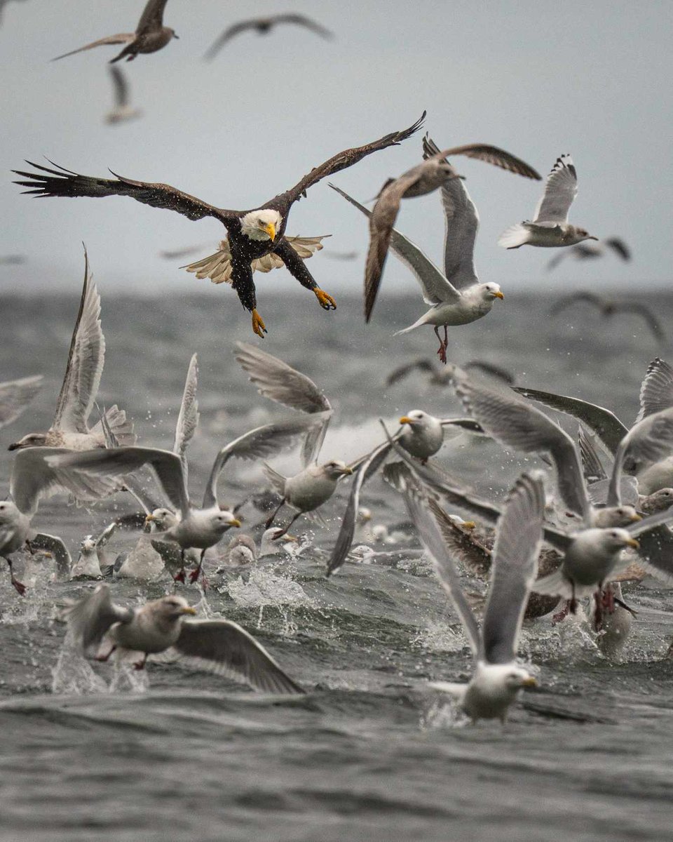 Joshua Palmer tweet media