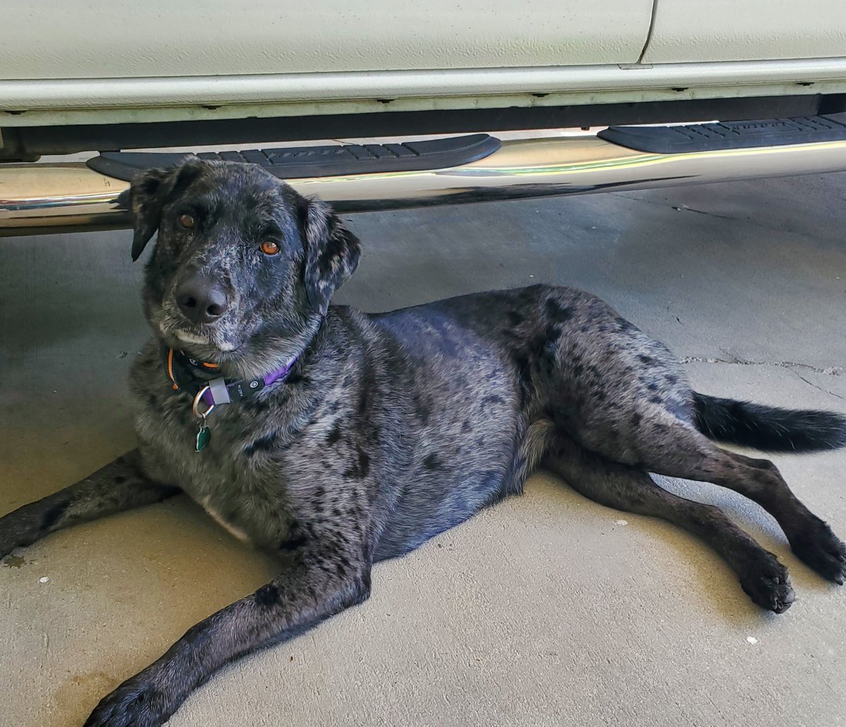 Michael Irwin Smith tweet media