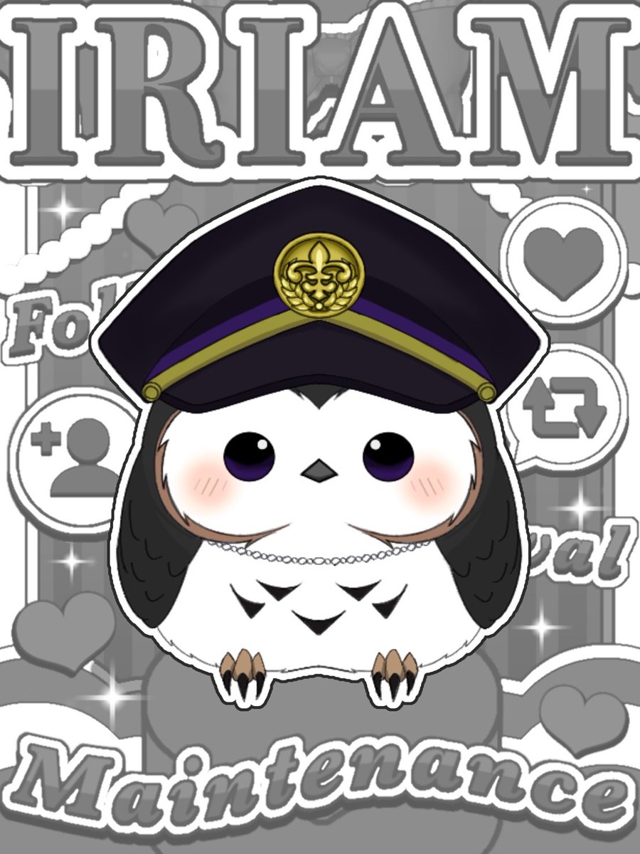 君乃 モノ tweet media