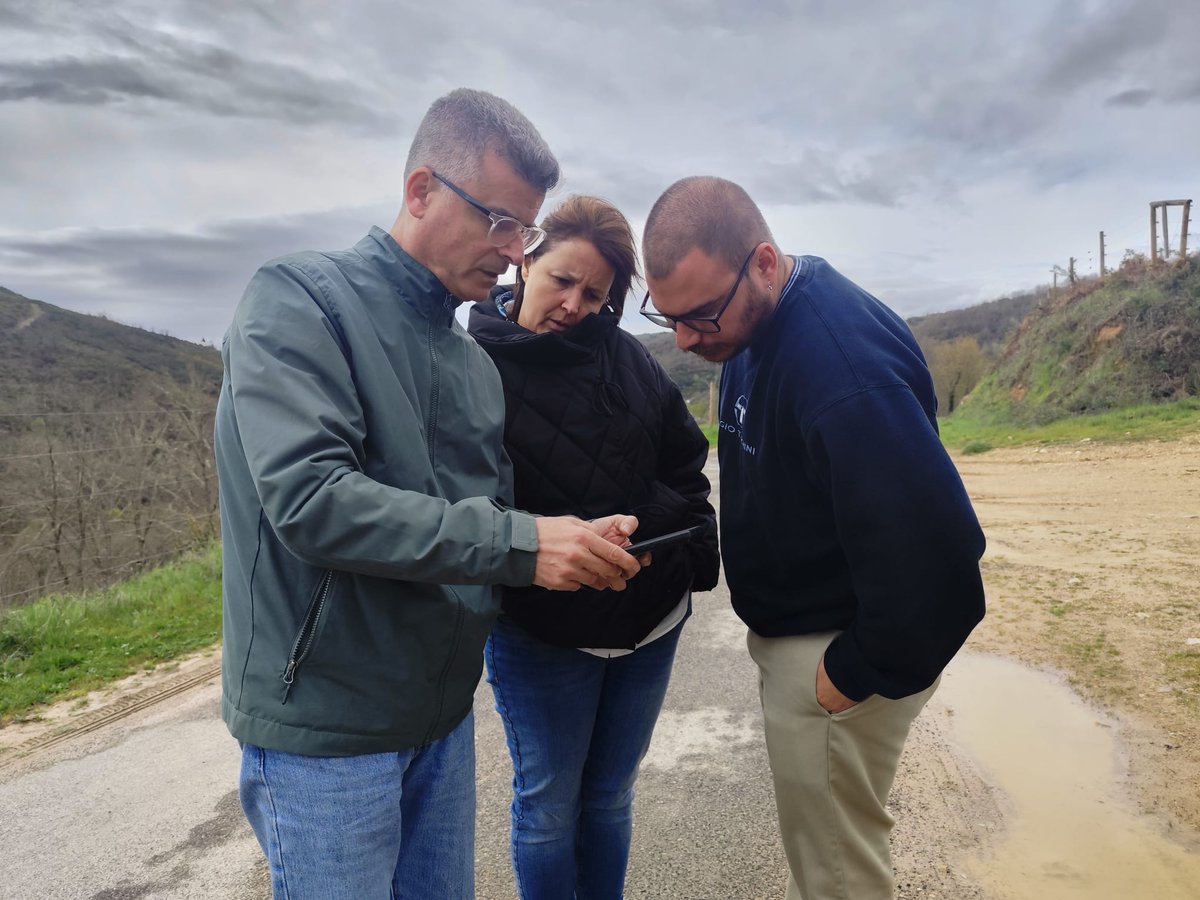 Os Verdes tweet media