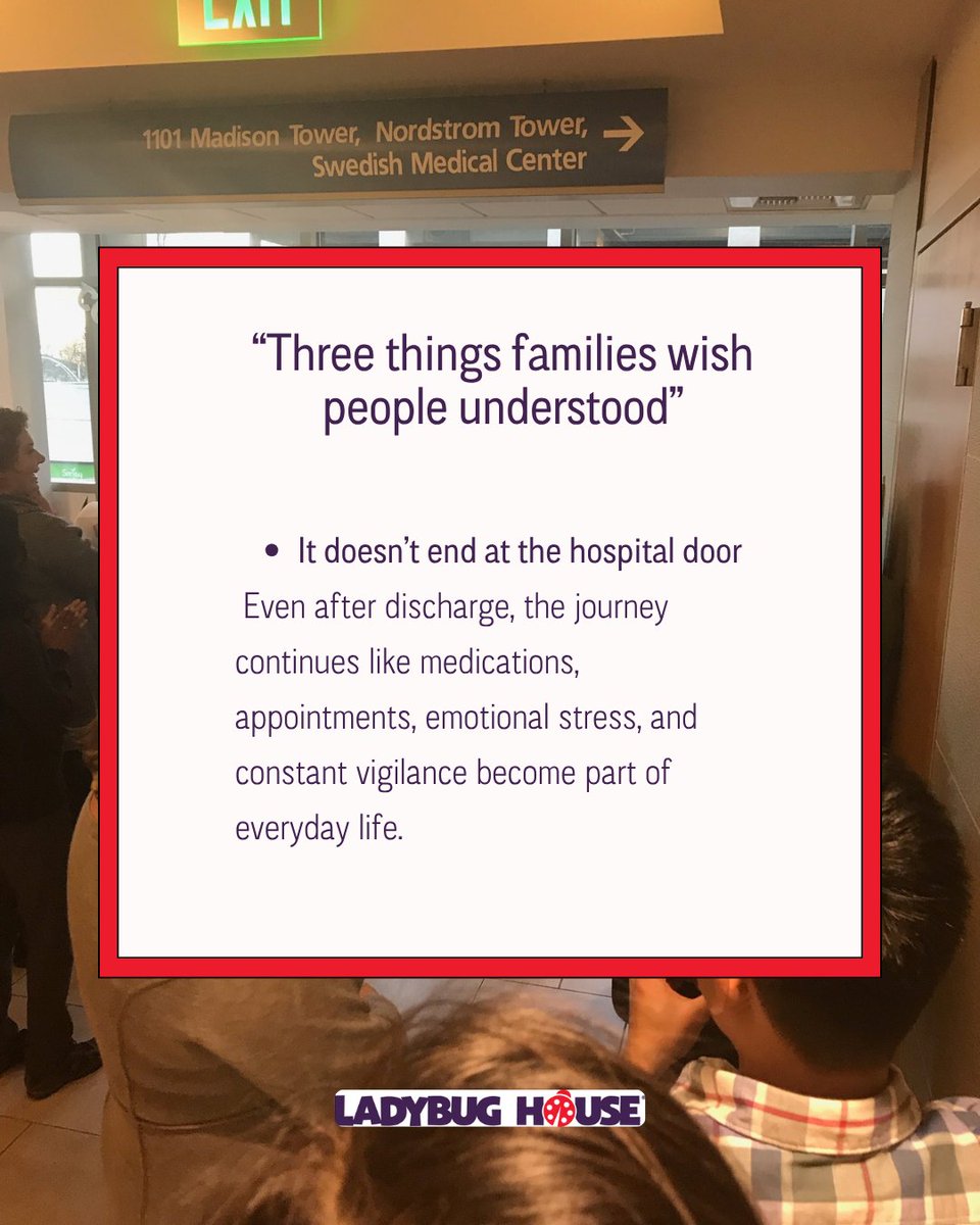 Ladybug House tweet media