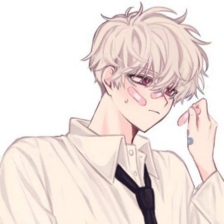 바카𑣲⋆ tweet media