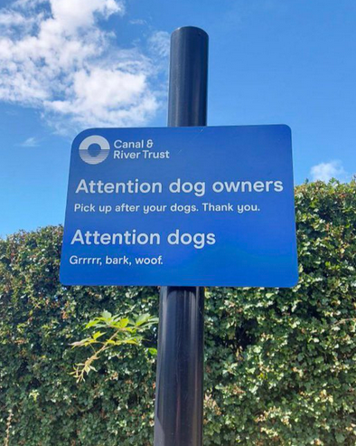 Awen 🟨⬜️🟪⬛️ tweet media