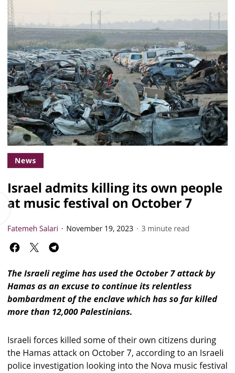 Lisa Engström🇵🇸🇸🇪 tweet media