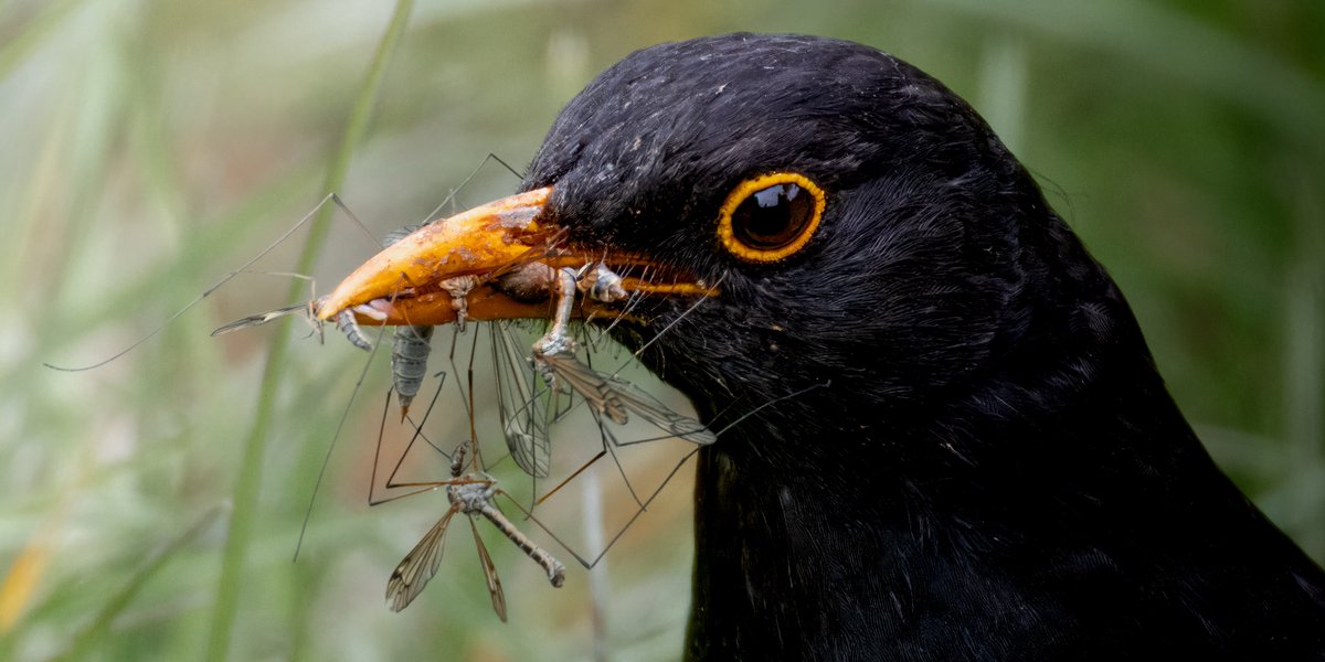 Andreas Pucher tweet media