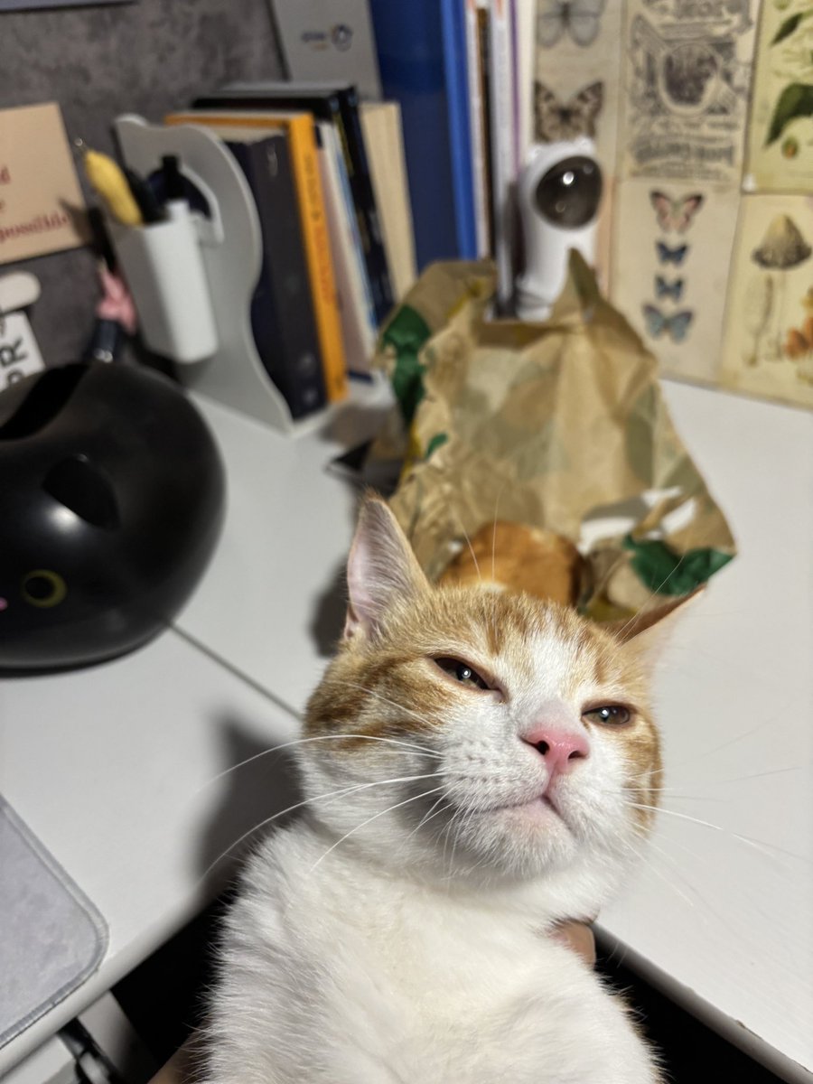 Misa𐙚 tweet media