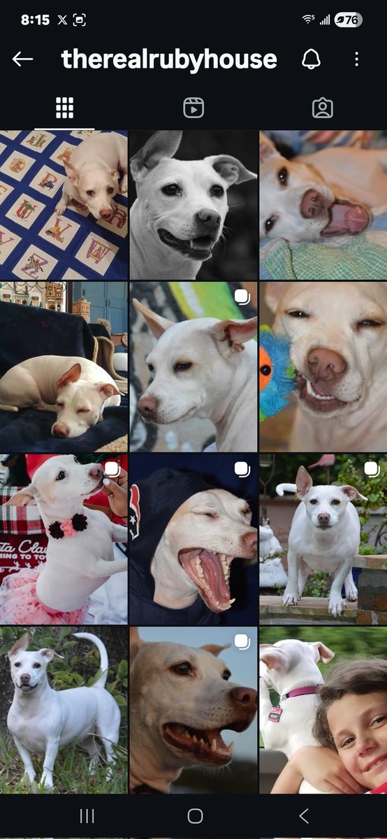 Hizzy📷Inc tweet media