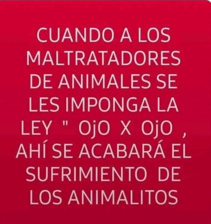 JHON HERNANDEZ tweet media