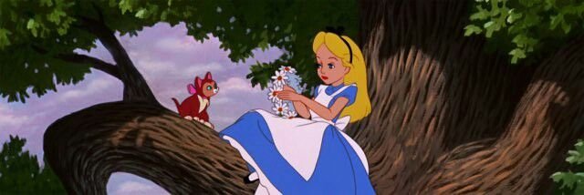 ၄၃ ͜ellis tweet media