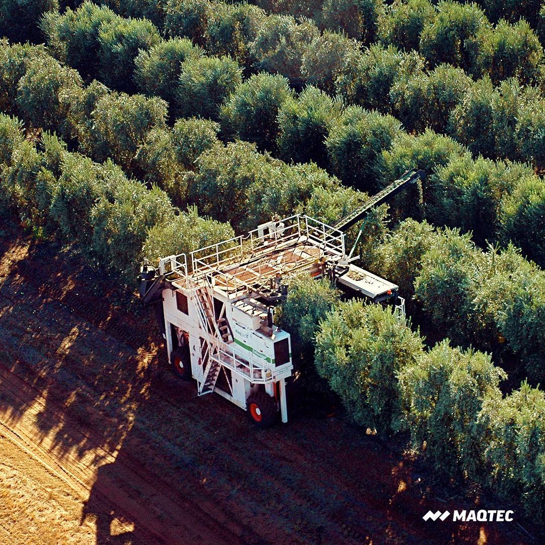 Marcas Argentinas tweet media