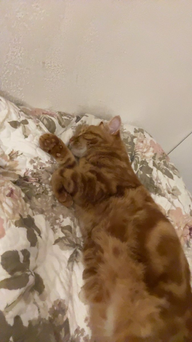 💐👒🌷 tweet media