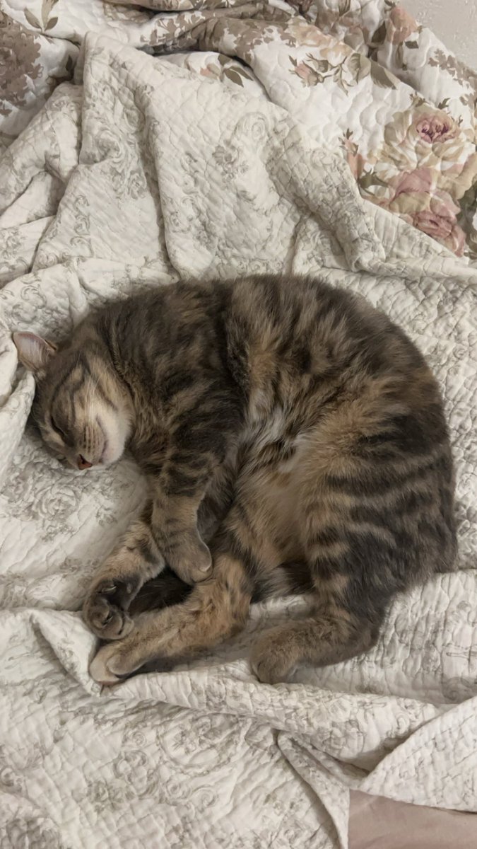 💐👒🌷 tweet media