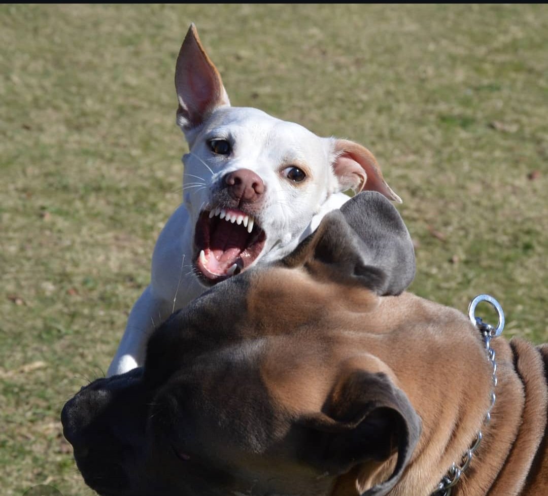 Hizzy📷Inc tweet media