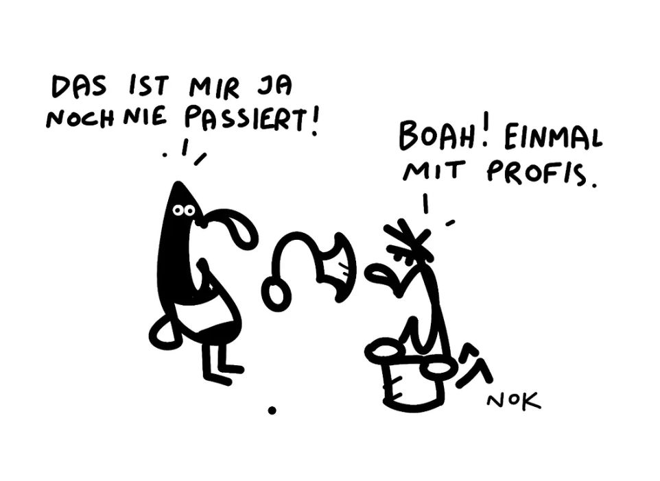 Einmal mit Profis!