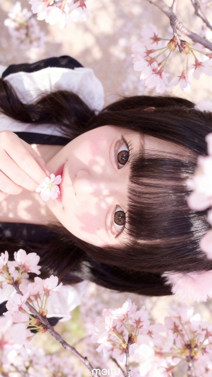 ゅ ぁ ໒꒱· ﾟ tweet media