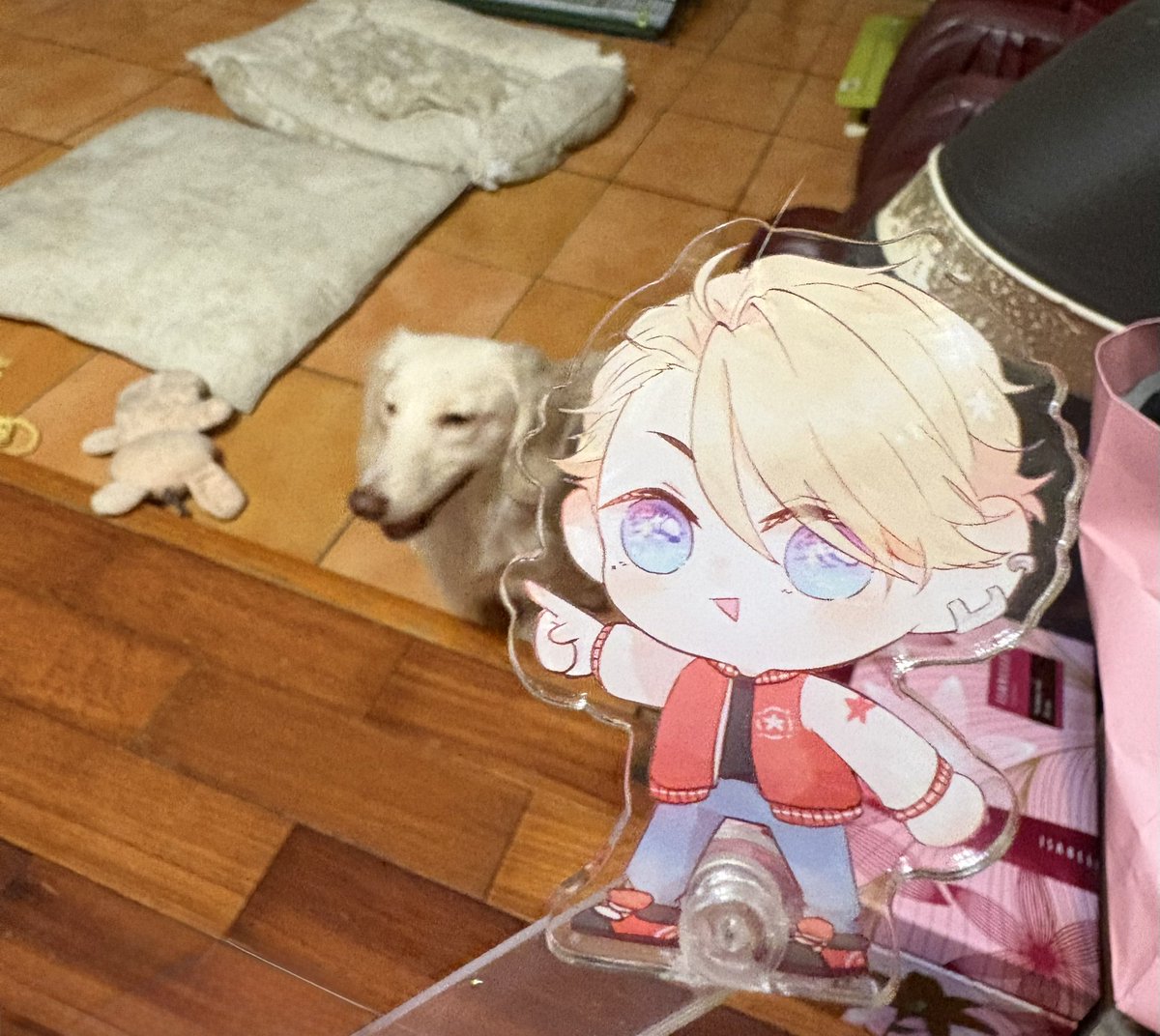 柒兔（ななうさ） tweet media