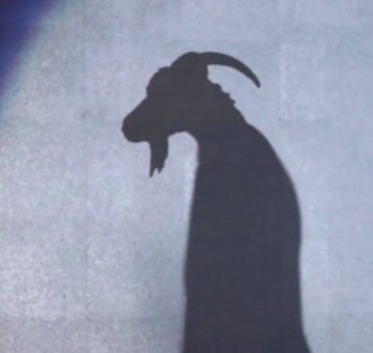 FZNATION tweet media