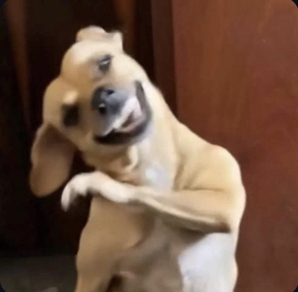 kamara 🥂🐉 tweet media