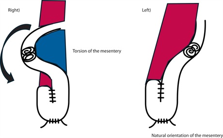 DCRjournal tweet media