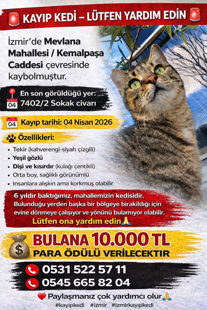 pinar tweet media