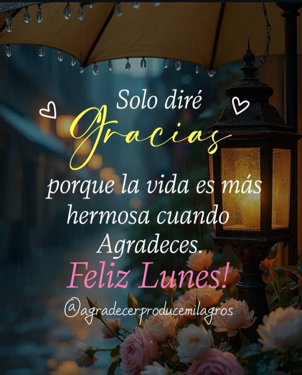 arceliaarce's tweet photo. Feliz lunes 💫 #gracias #vida https://t.co/j4svpLeuZz
