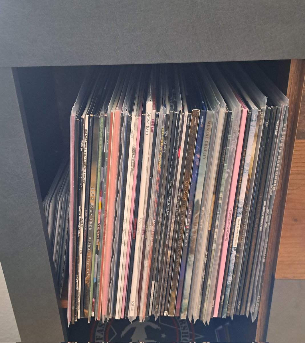 Cornelius | Kurdischer Deutsch-Schwede aus Litauen tweet media