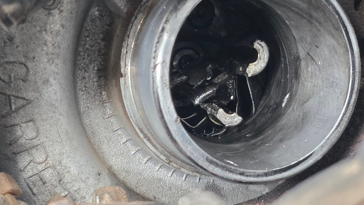 johnny randomseed tweet media