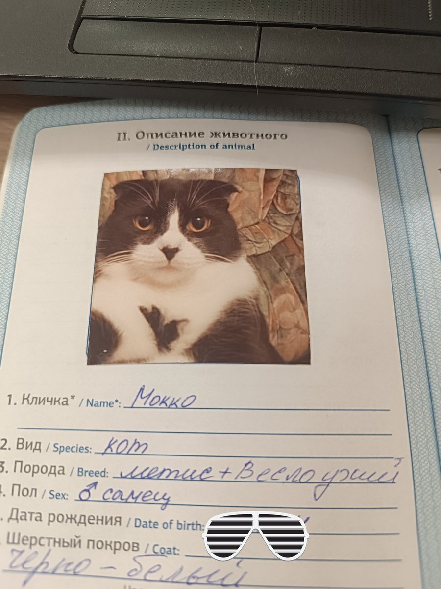 Доктор Котощуп tweet media