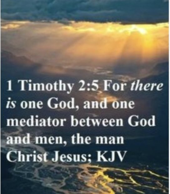 MissBeck71 🍊🇺🇸✝️ Trump2024 tweet media