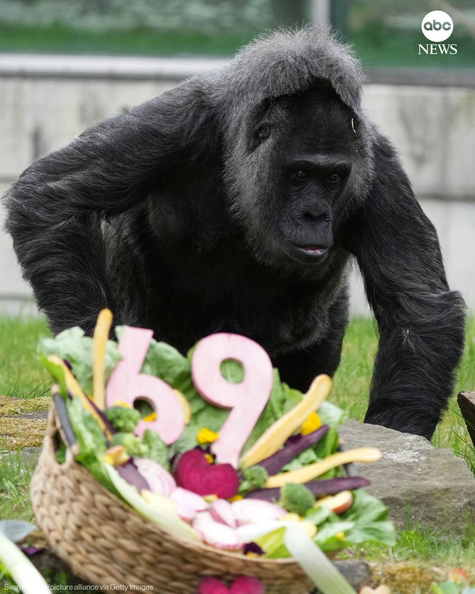 ABC News tweet media