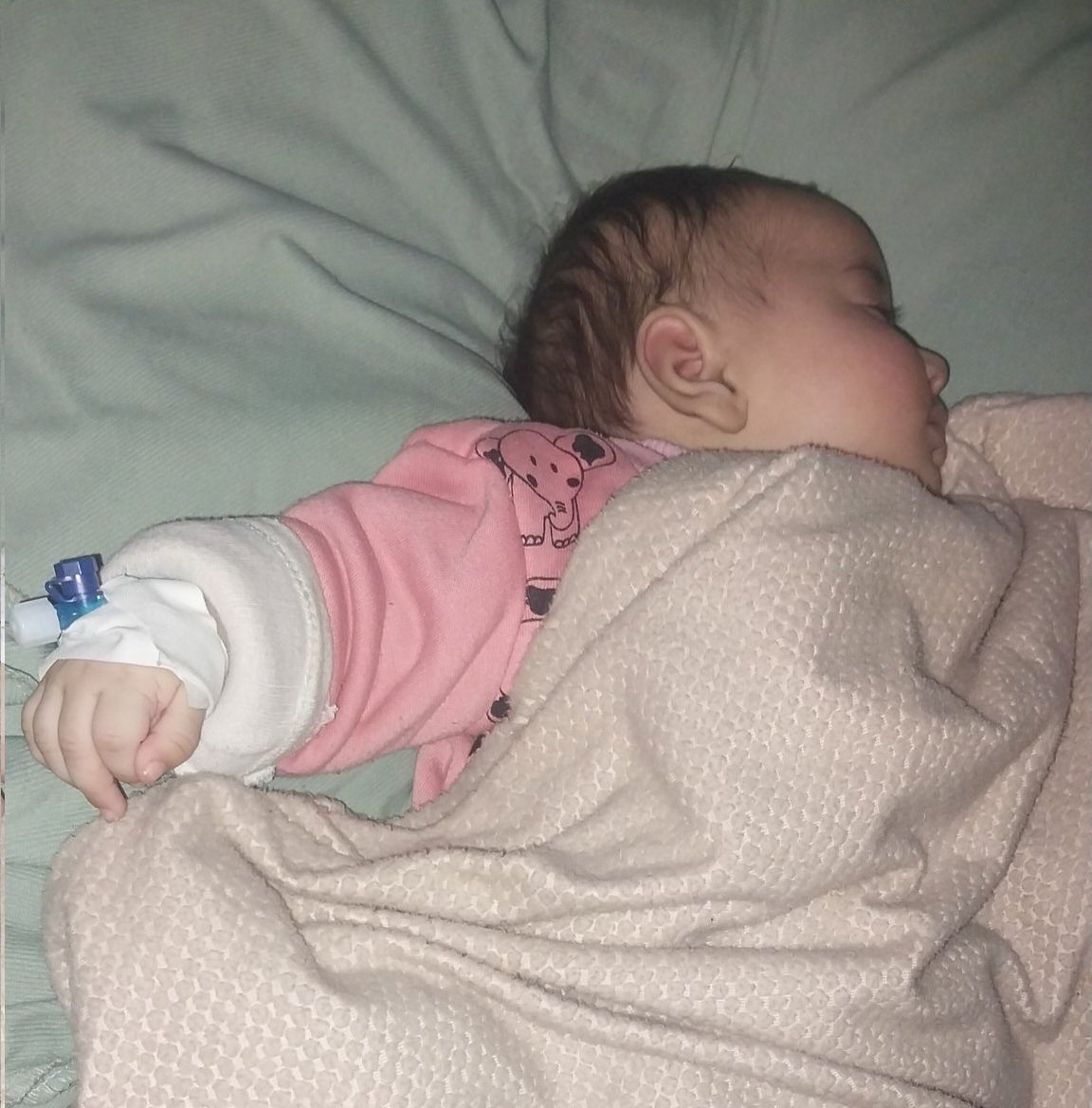 Eman from Gaza || إيمَان 𓂆🇵🇸 tweet media