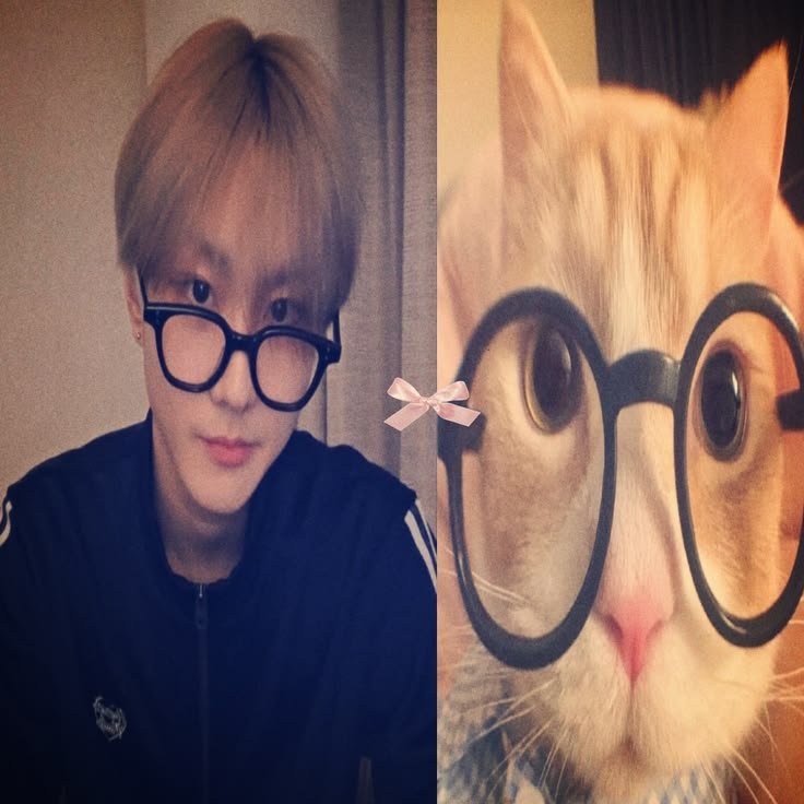 Сая⁷ tweet media