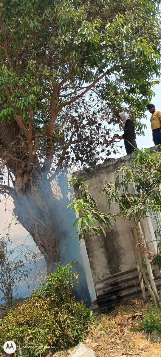 Siddharthnagar Fire & Emergency Services tweet media