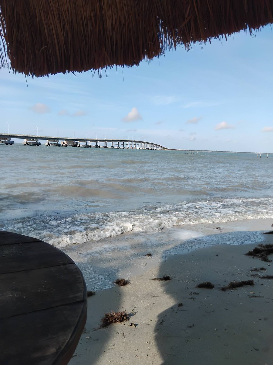 Mima Lopez tweet media