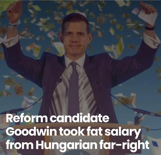 dave lawrence 🐟🐟🐠 tweet media