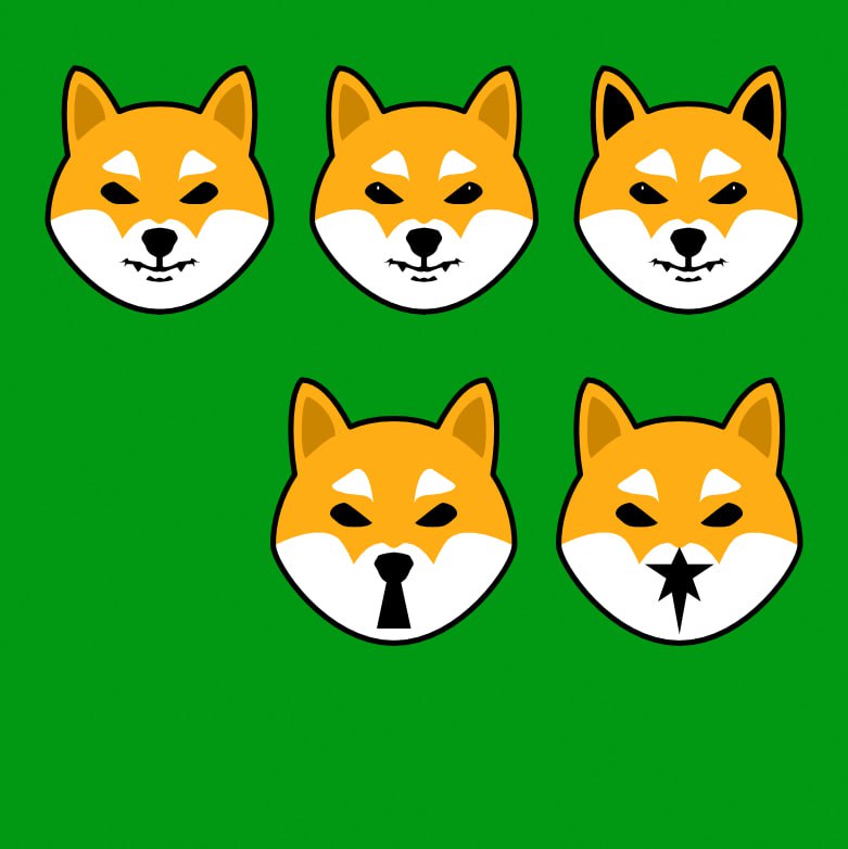 Oscar OG Shiba Inu tweet media