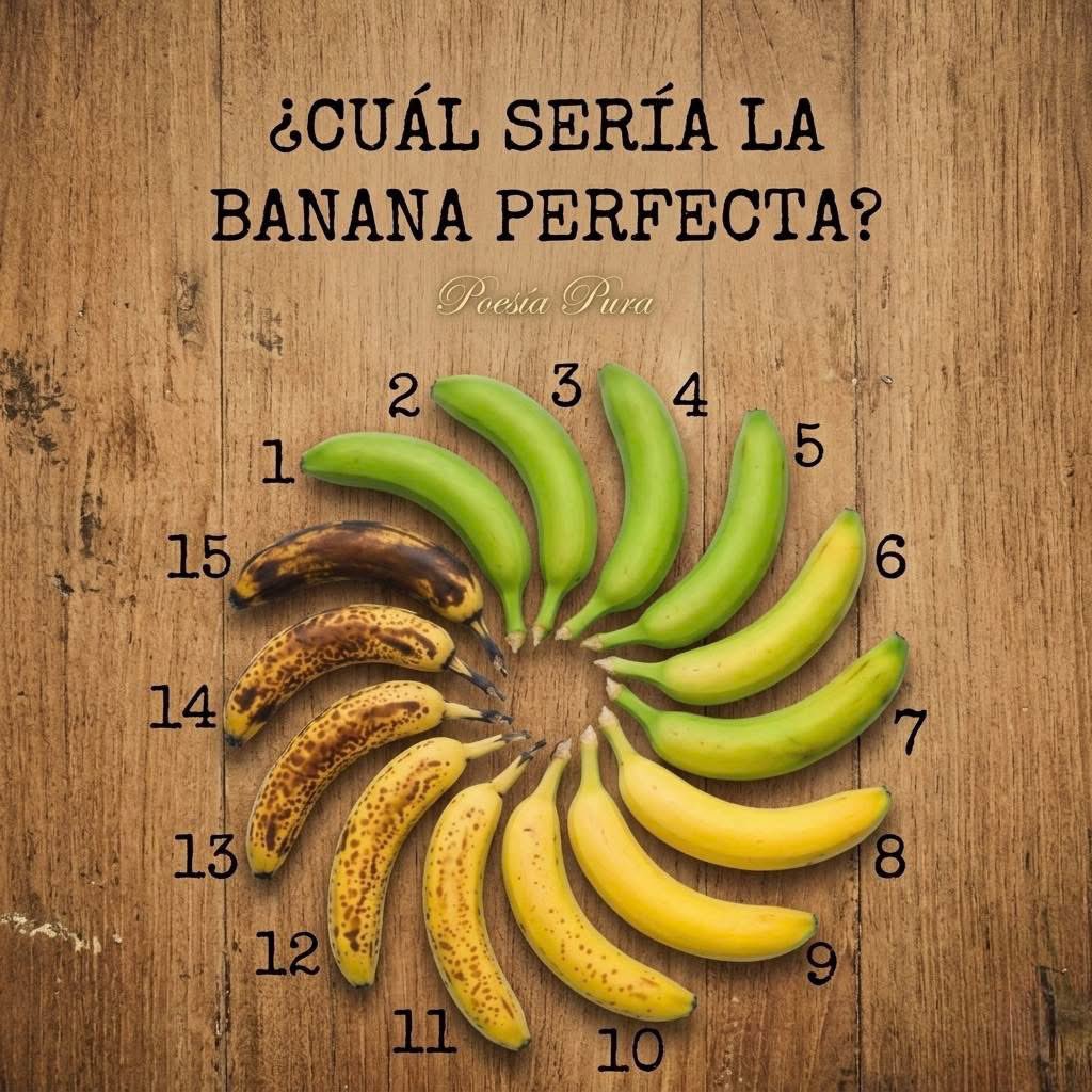 Teresa Mendoza 💜 tweet media