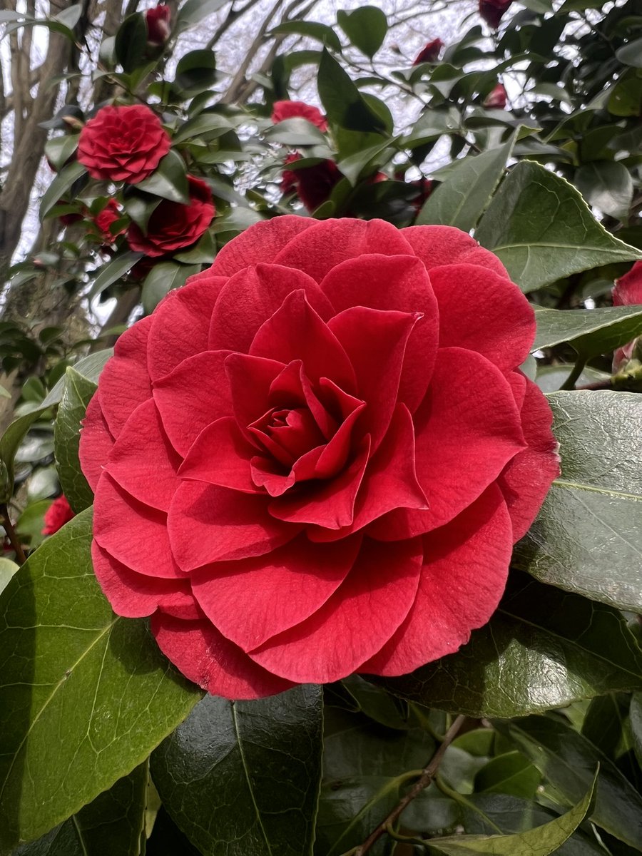 Dang Ngoc Nha | Nancy tweet media