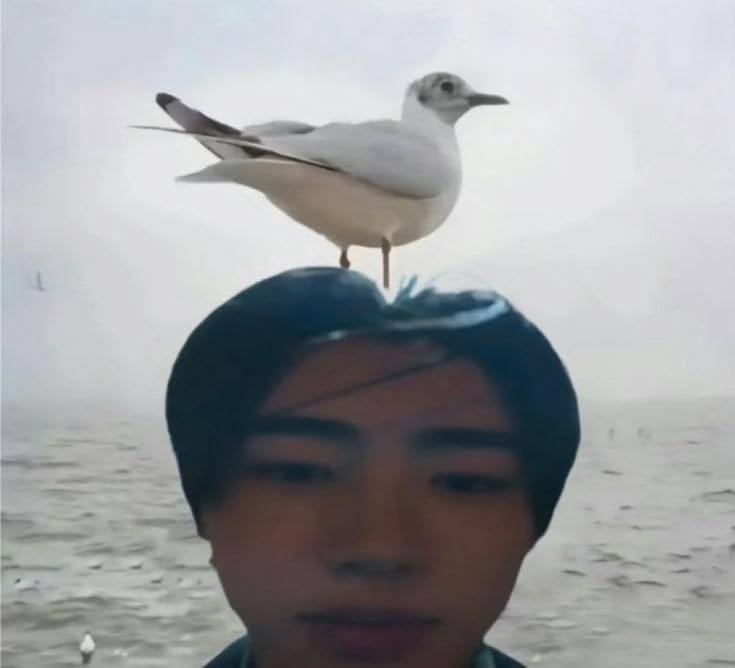 айскрим玄 | ᴇɴʜʏᴘᴇɴ ɪs 7 tweet media