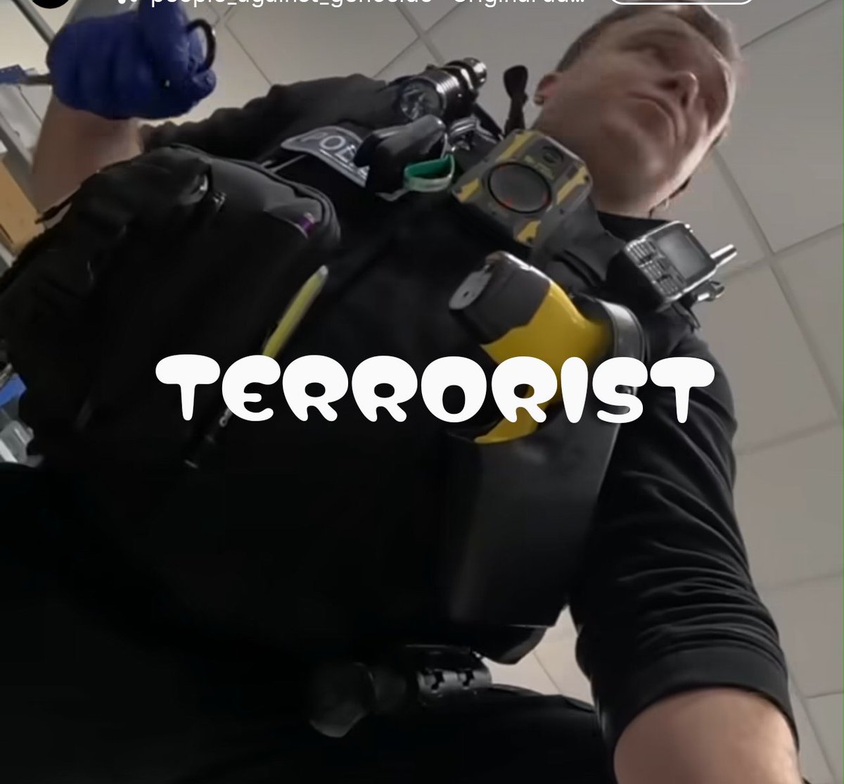 CorkRockingham tweet media