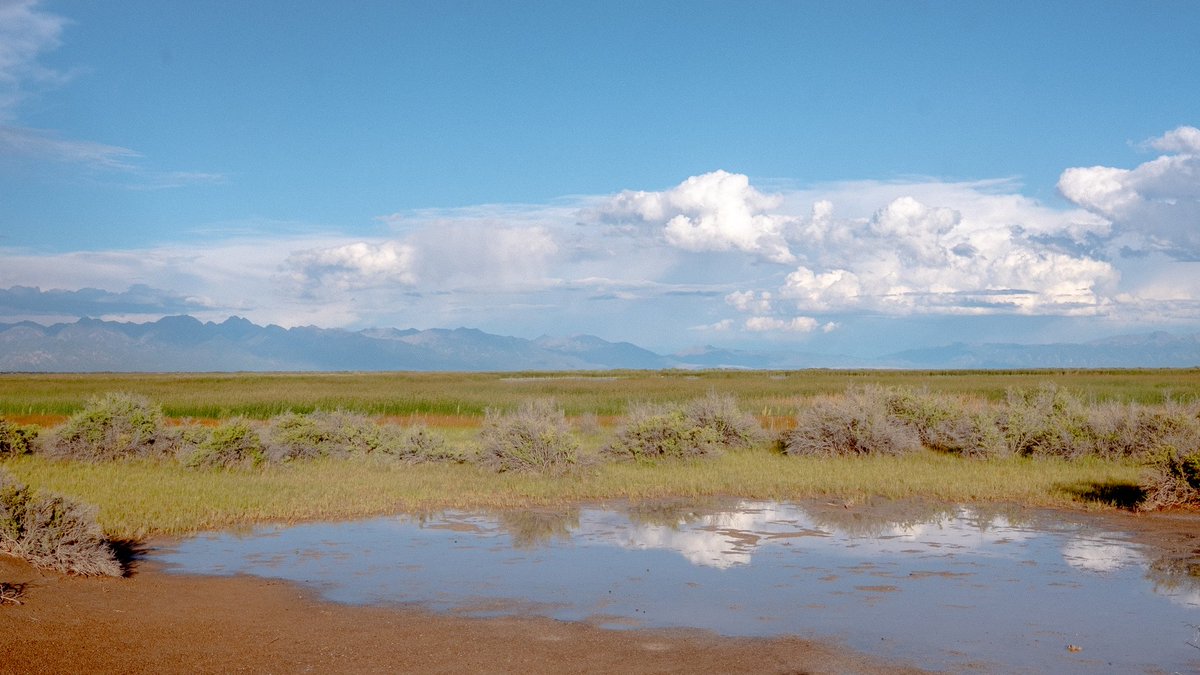 Dan Page tweet media