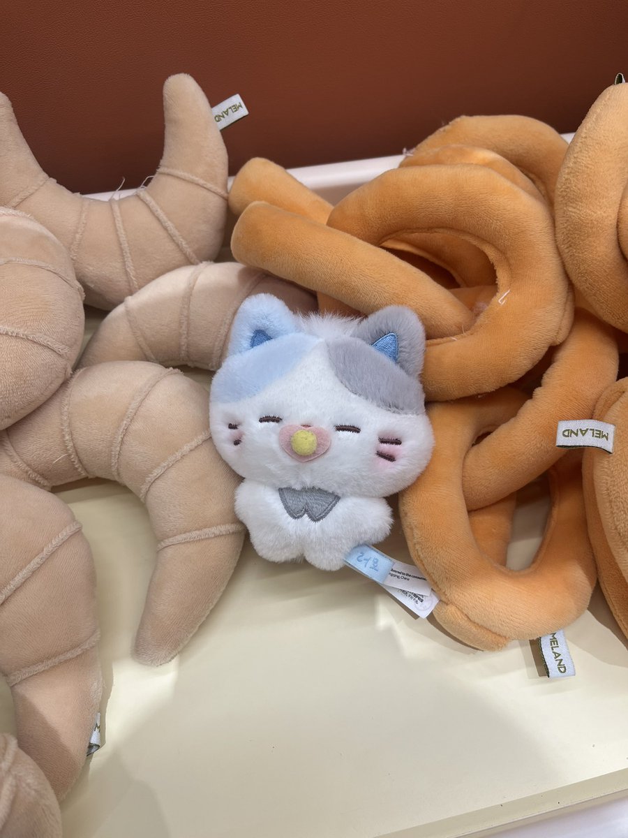 ✧⋆﹅⋆ มอซอ .Lucid 🎸🎸 tweet media