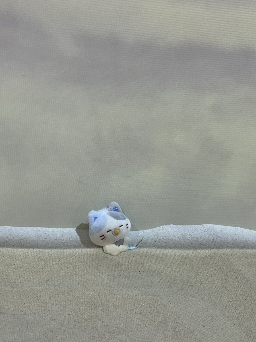 ✧⋆﹅⋆ มอซอ .Lucid 🎸🎸 tweet media