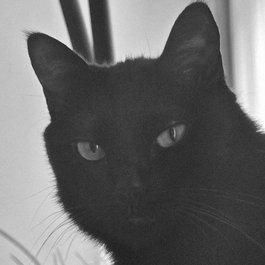 𝗦𝗨𝗚𝗔 민윤기 tweet media