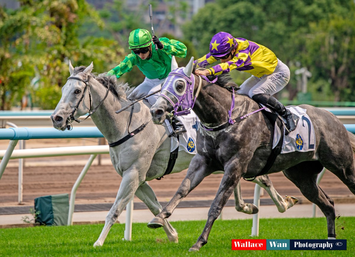 Wallacewanck's tweet image. Apprentice jockey Nichola Yuen.
#upandcoming #superjopckey #HKJC #Horse #hkracing #hkphotographer #horsephoto #調教師 #jockeys #shatinracecourse #騎手 #競馬場