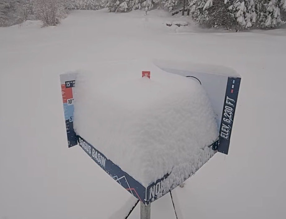 kent rasmussen tweet media